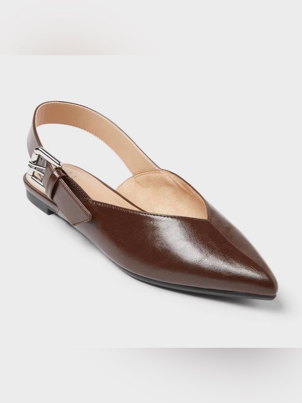 A New Day/Target Victoria  Pointed Slingback with Side Buckle Flats - NWOT